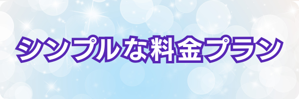 シンプルな料金プラン